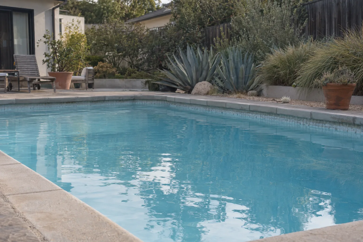 A sunlit residential pool in a Los Angeles backyard with clear blue water and drought-tolerant landscaping including agave plants and ornamental grasses