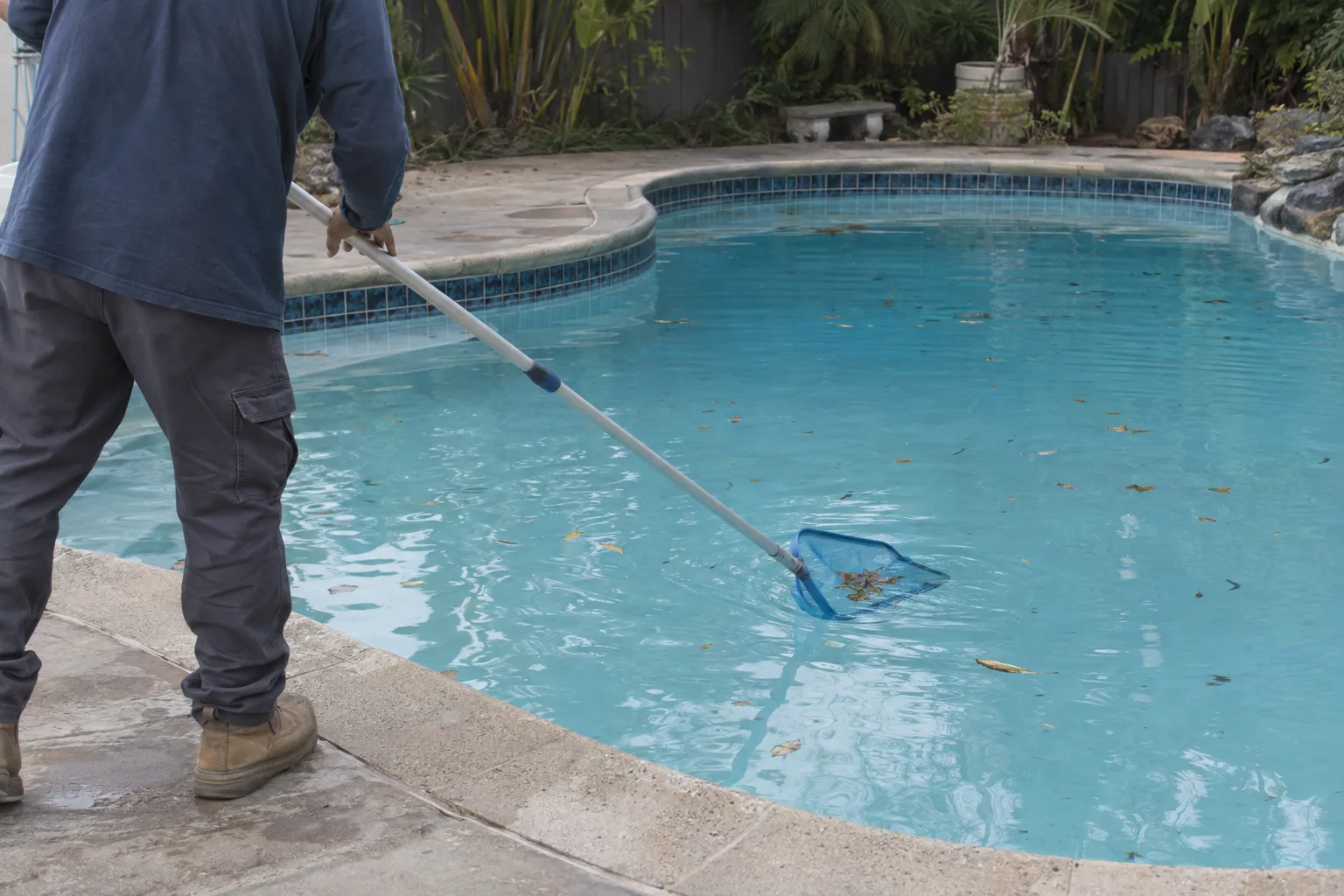A pool technician skimming the surface of a residential swimming pool on a sunny morning, seen from behind at pool deck level