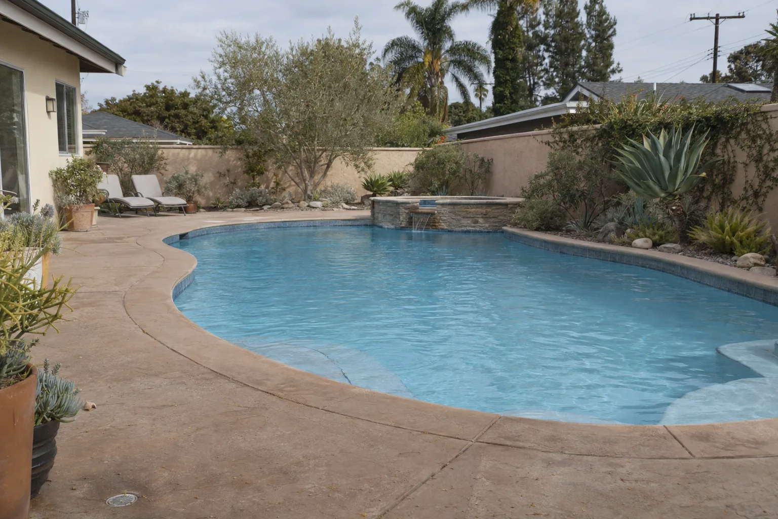 A clear blue residential swimming pool in a sunny Los Angeles backyard with drought-tolerant plants along a stucco perimeter wall on a bright afternoon