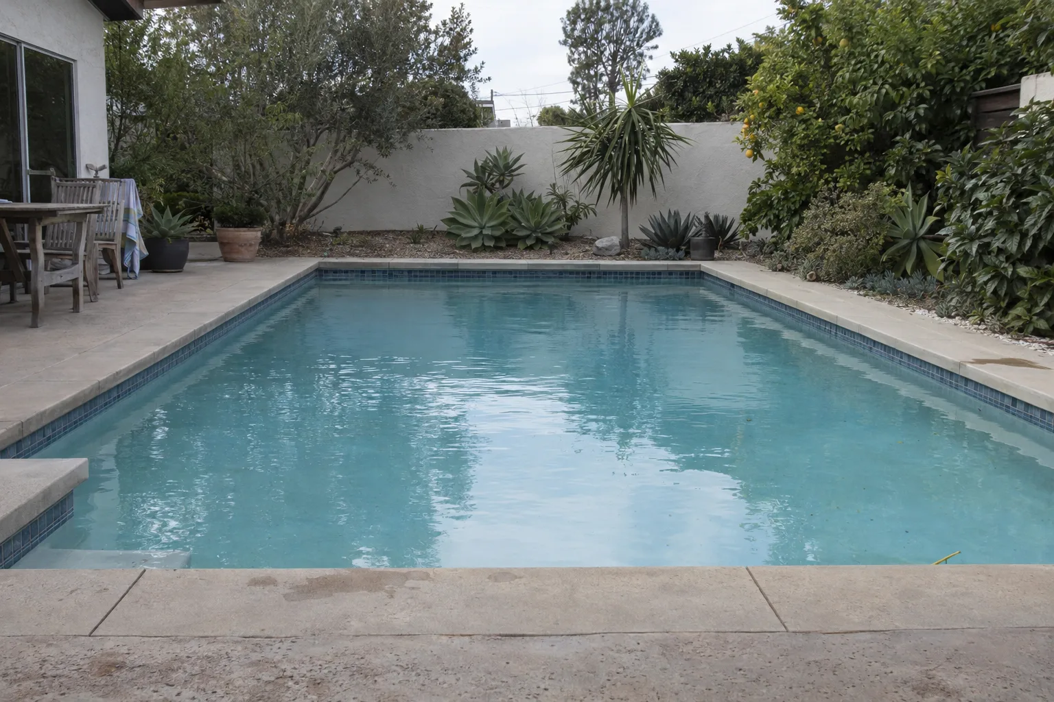 A clean rectangular backyard swimming pool with blue water and white plaster, surrounded by drought-tolerant landscaping and a stucco wall on a sunny Los Angeles afternoon